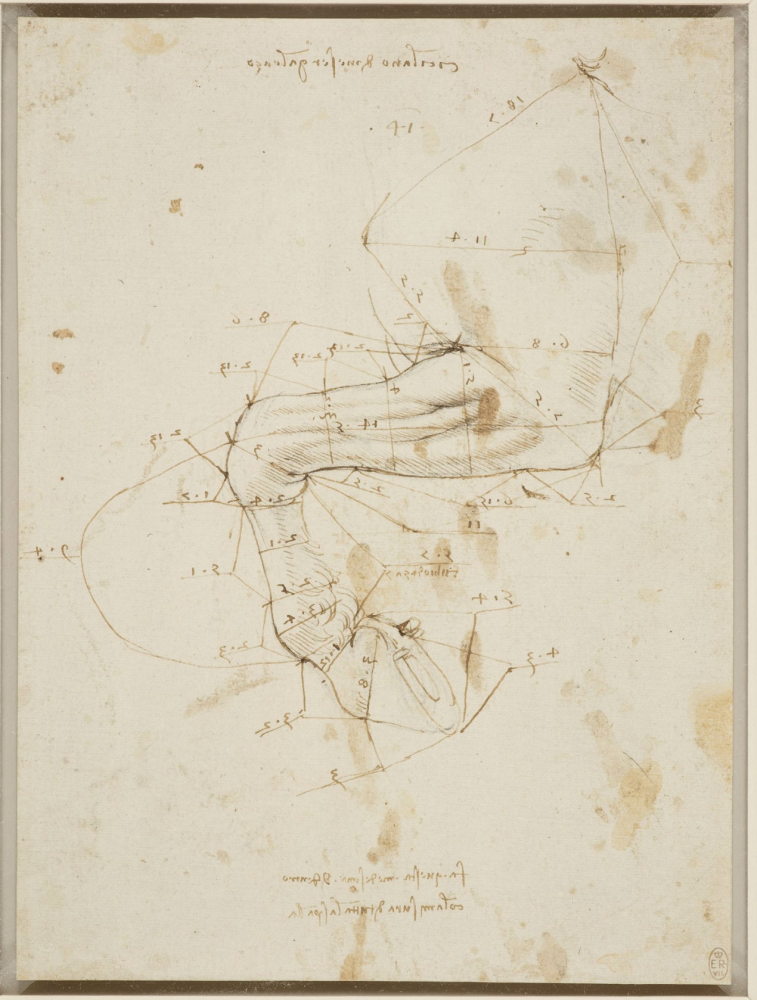 Leonardo da Vinci: A life in drawings Exhibition, London - OrthOracle